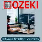Full Stack developer – Dikmunka
